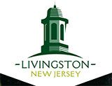 logo livingston nj government substance use recovery resources